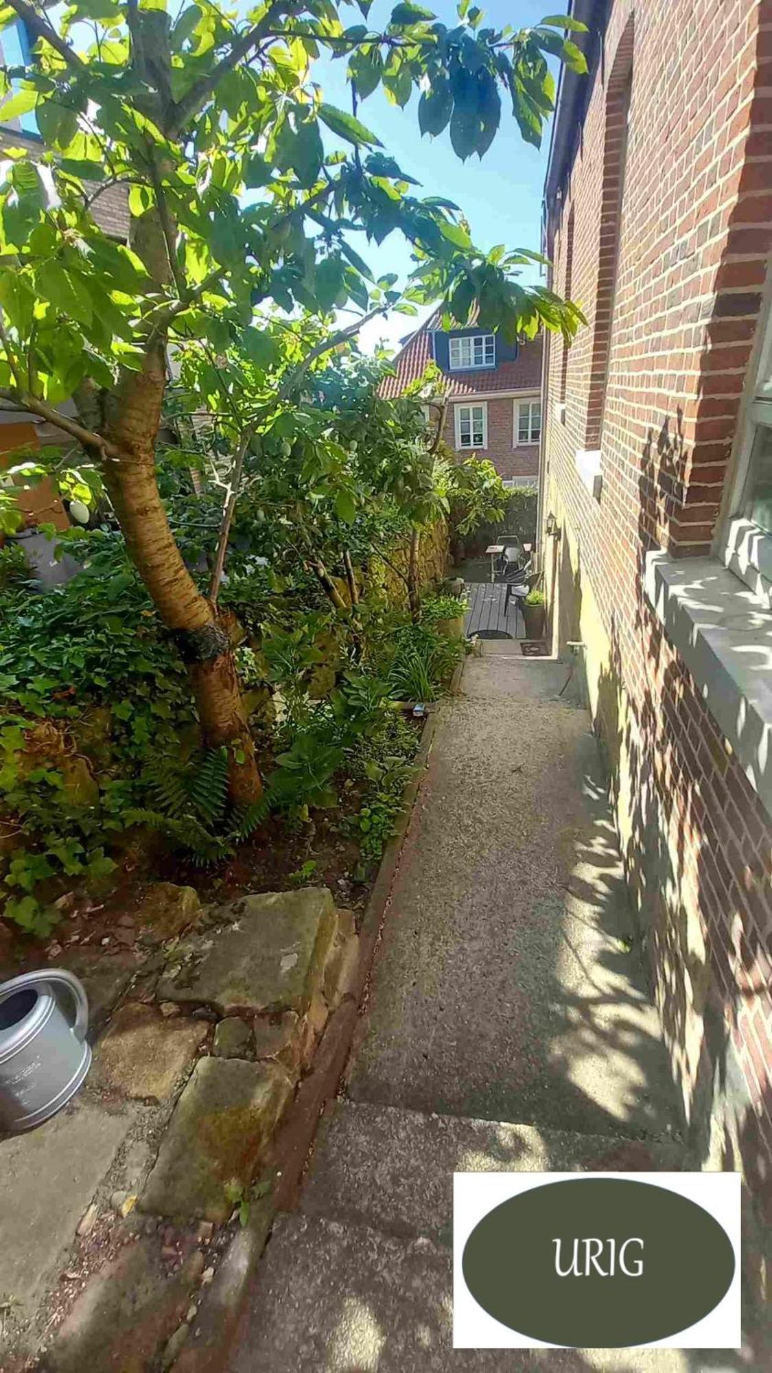 Bed Bentheim Lägenhet Bad Bentheim Exteriör bild